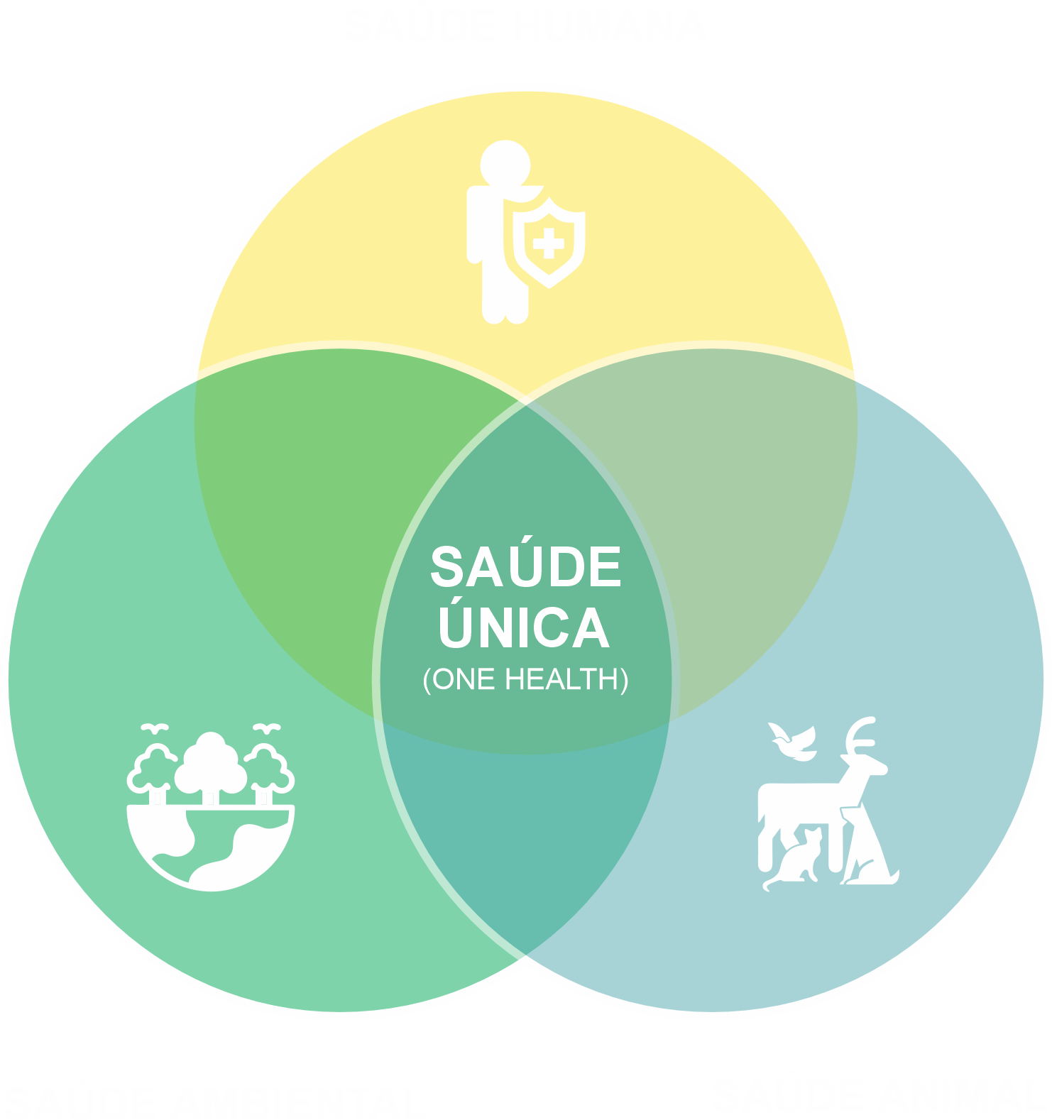 Visão integrada entre saúde humana, saúde animal e meio ambiente